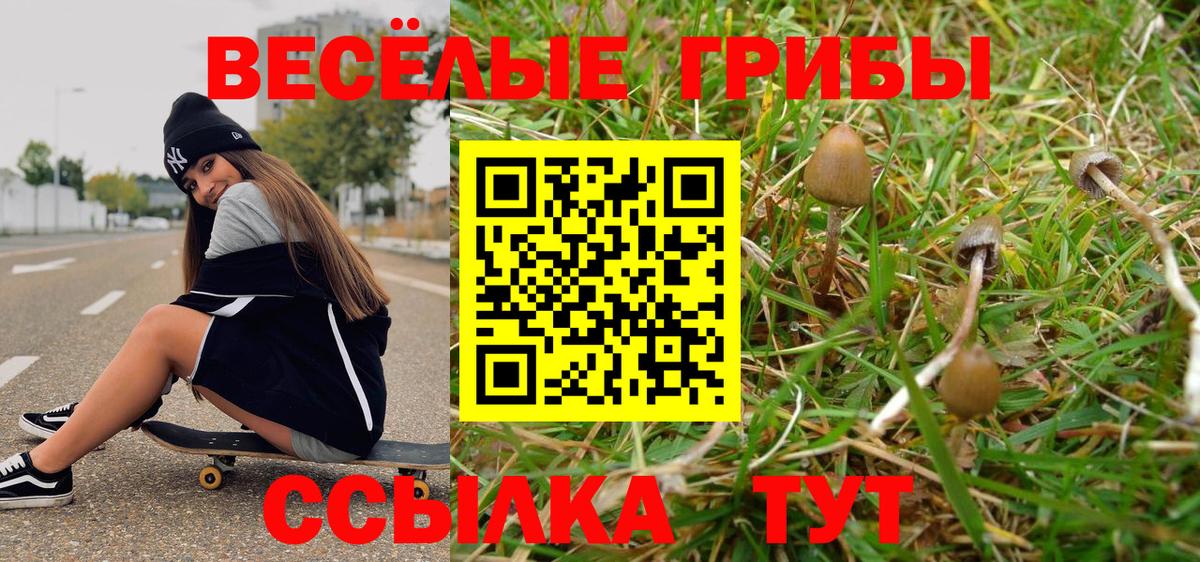 Протвино  Псилоцибиновые грибы Cubensis  Вход с VPN 